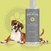 For All Dogkind Deep Cleansing Shampoo - Image 2