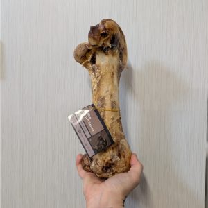 Jumbo Ostrich Bone